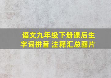 语文九年级下册课后生字词拼音 注释汇总图片